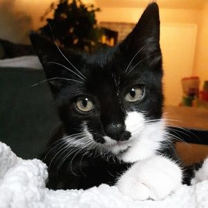 Meet your Posher, Tori